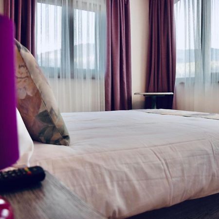 Casa Ankeli Bed & Breakfast Busteni Ngoại thất bức ảnh