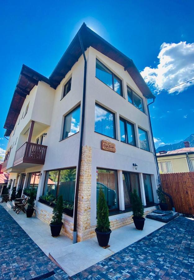 Casa Ankeli Bed & Breakfast Busteni Ngoại thất bức ảnh