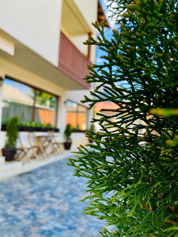 Casa Ankeli Bed & Breakfast Busteni Ngoại thất bức ảnh