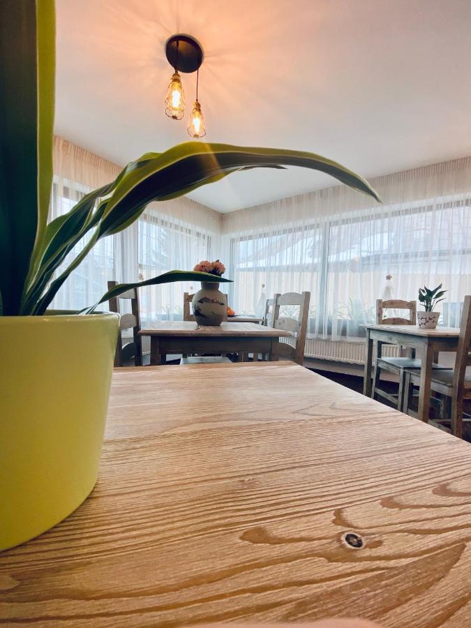 Casa Ankeli Bed & Breakfast Busteni Ngoại thất bức ảnh