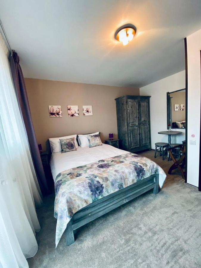 Casa Ankeli Bed & Breakfast Busteni Ngoại thất bức ảnh