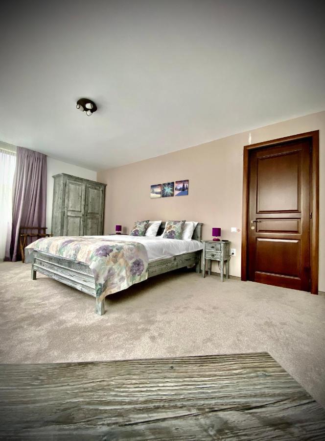 Casa Ankeli Bed & Breakfast Busteni Ngoại thất bức ảnh
